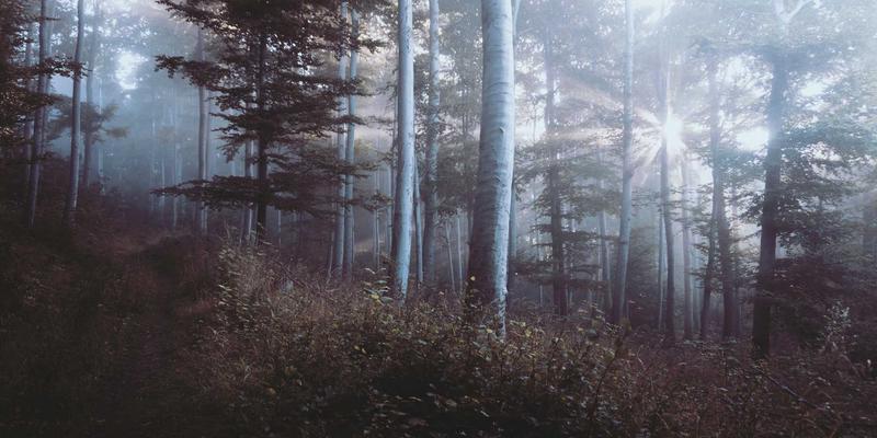 DNS管理与ZSB2：未来科技浪潮下的网络基石革命