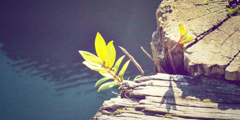 TSN与工业以太网融合：ZSB2标准、云服务与域名服务如何重塑工业自动化未来