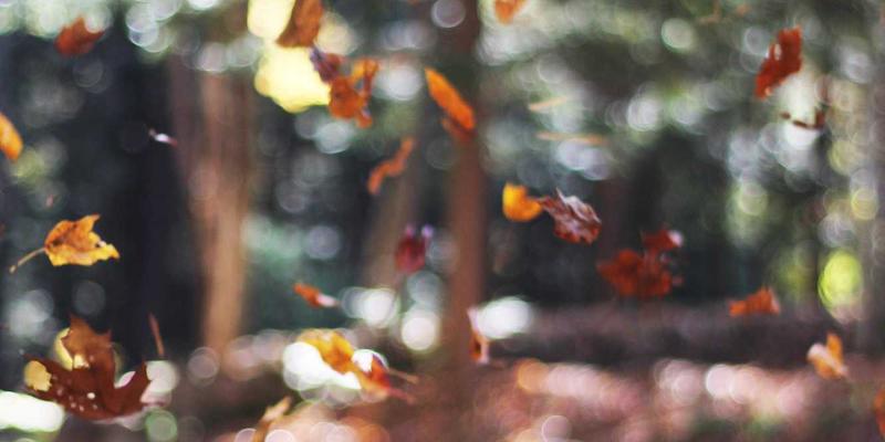 基于SR-MPLS的广域负载均衡与流量工程优化：重塑网络性能的关键技术