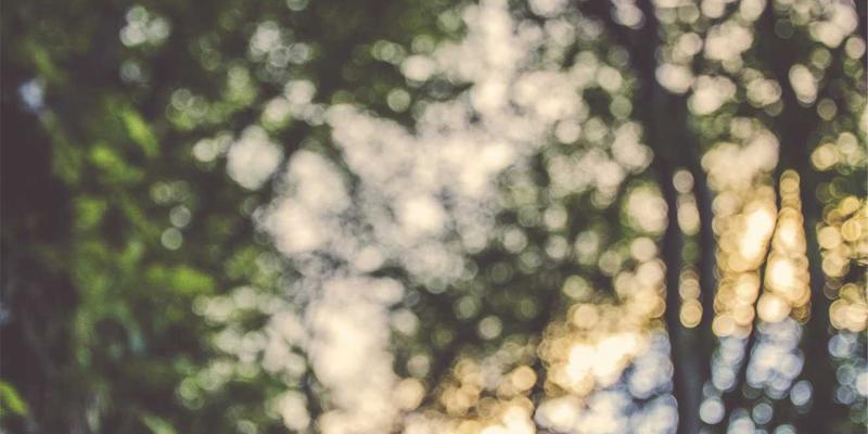 未来科技浪潮下的IPv6迁移策略：重塑企业网络架构与ZSB2技术融合之道