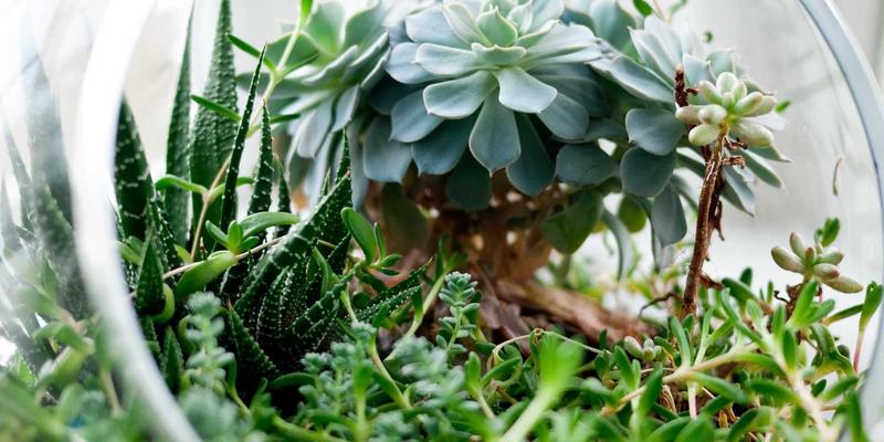 网络切片在5G行业专网中的应用：如何通过ZSB2与域名服务构建安全定制化虚拟网络